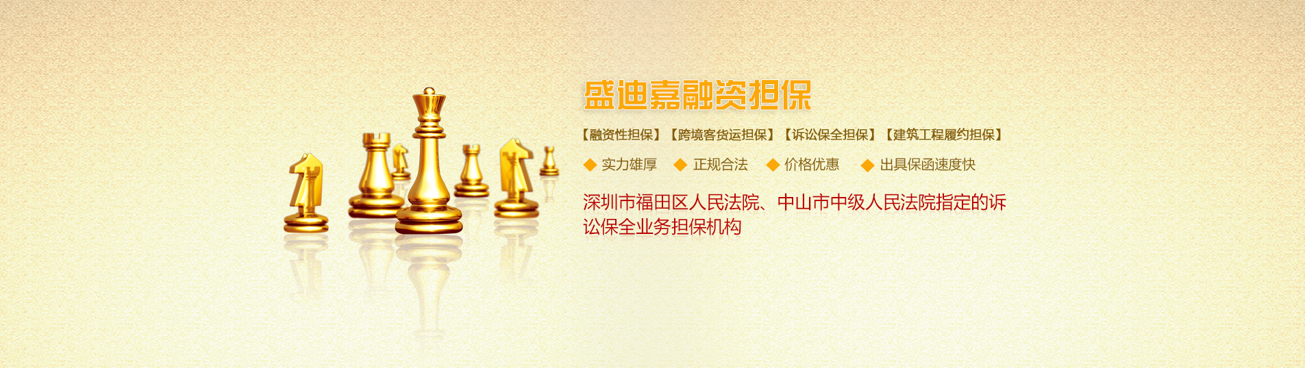 盛迪嘉融資擔保